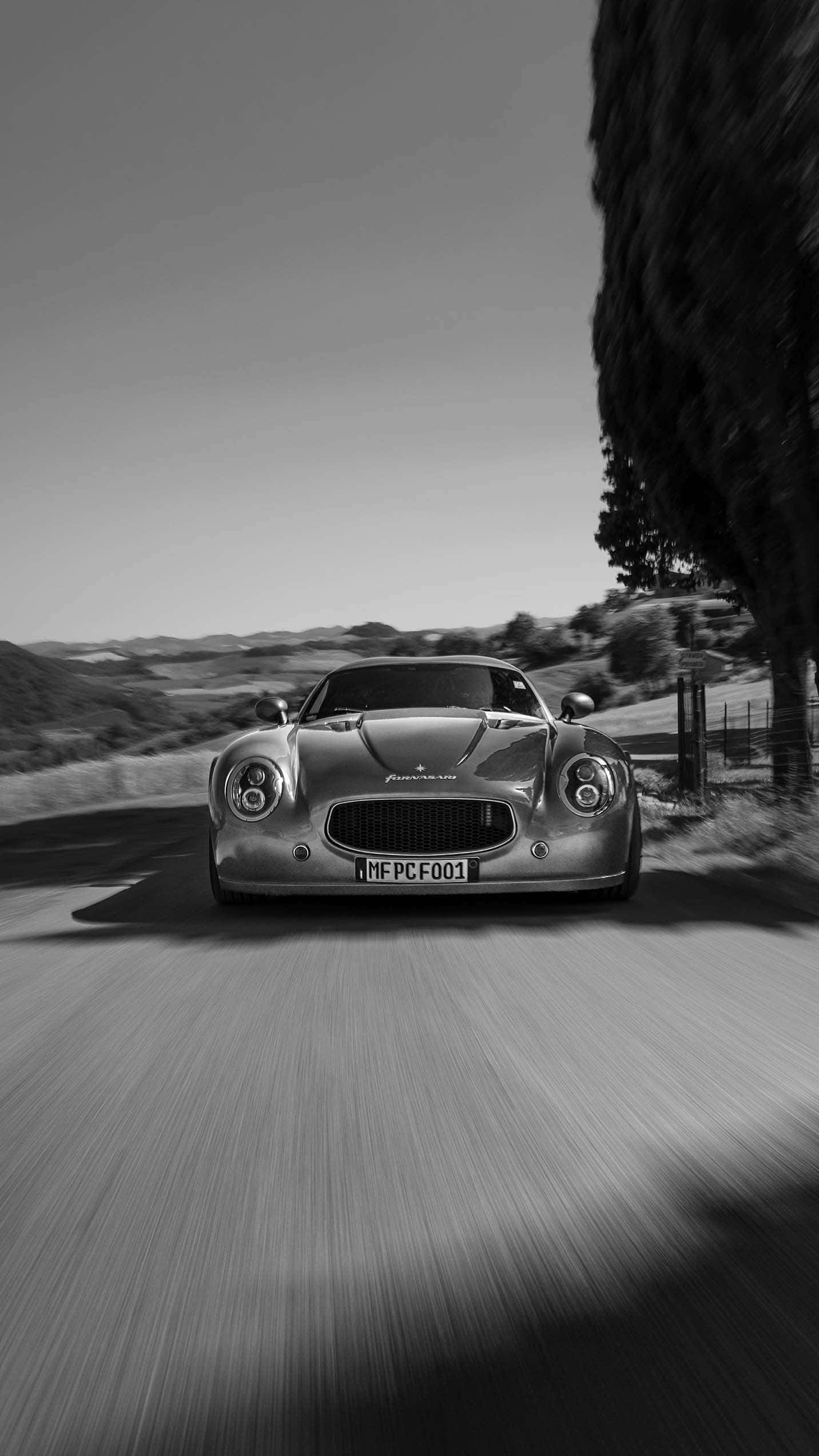 fornasari gigi 311 gt senza tempo fornasari gigi 311 gt posteriore